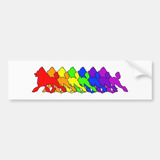 Rainbow Poodle Bumper Sticker (Front)