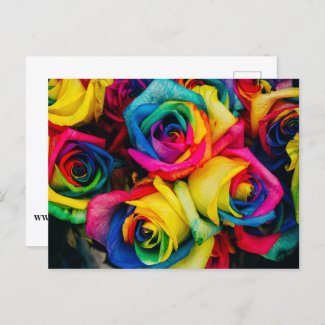 Rainbow Postcard