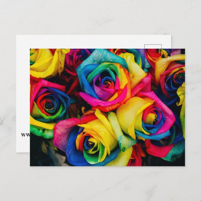 Rainbow Postcard (Front/Back)