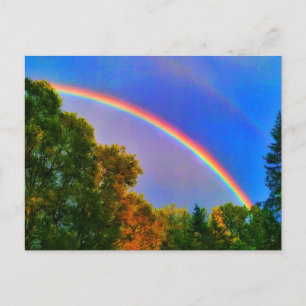 RAINBOW Postcard