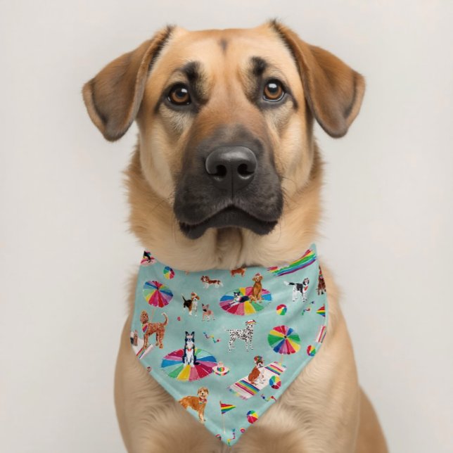 RAINBOW PRIDE DOG BEACH PET BANDANA COLLAR (Featured photo cutie)