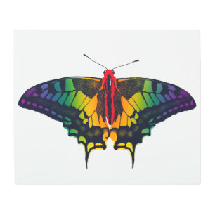 Rainbow Pride Flag Swallowtail Butterfly Metal Print