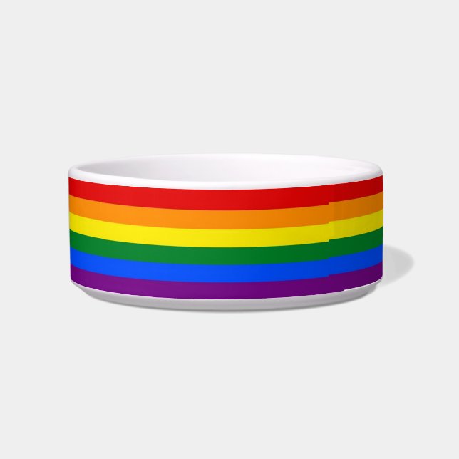 Rainbow Pride Stripes Bowl (Right)