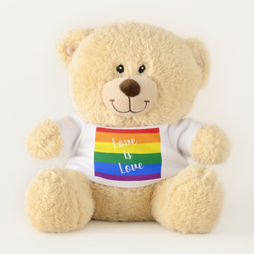 Rainbow pride _ Teddy bear