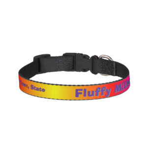 "Rainbow Prism" Pet Collar 