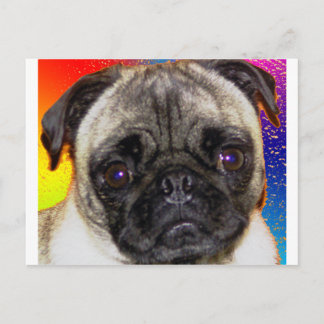 Rainbow Pug Postcard