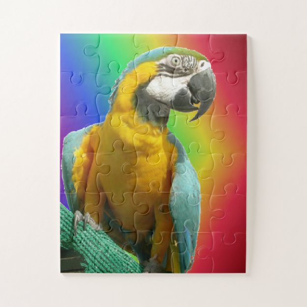 Rainbow Puzzle: Funny Talking Parrot Jigsaw Puzzle