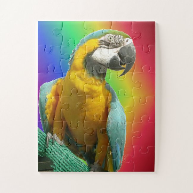 Rainbow Puzzle: Funny Talking Parrot