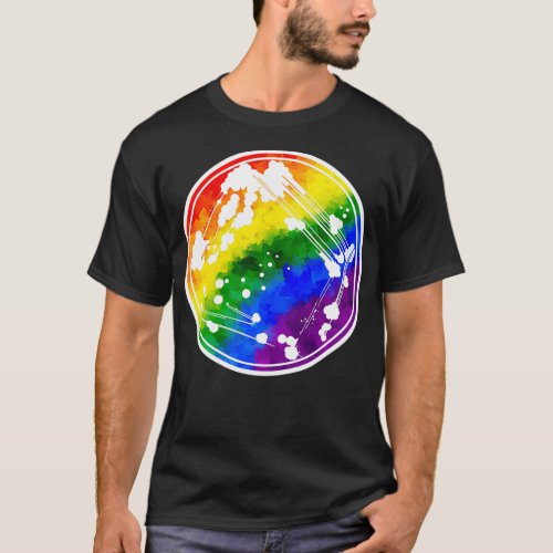 Rainbow Quadrant Streak T_Shirt
