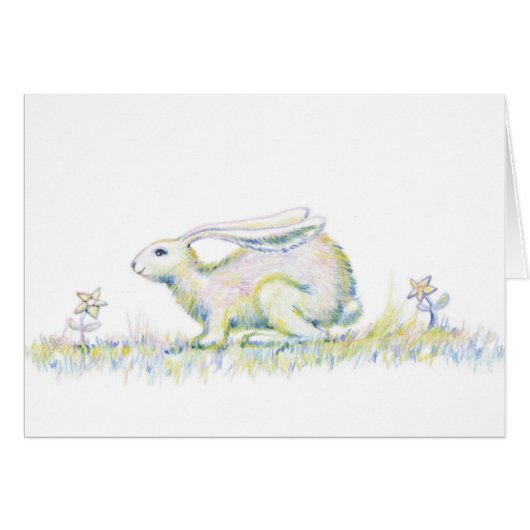 Rainbow Rabbit Cards (Front Horizontal)