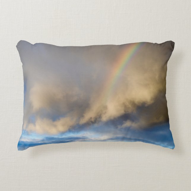 rainbow rebellion accent pillow (Front)