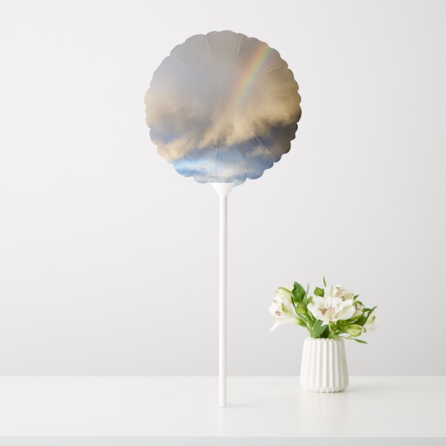 rainbow rebellion balloon (In SItu)