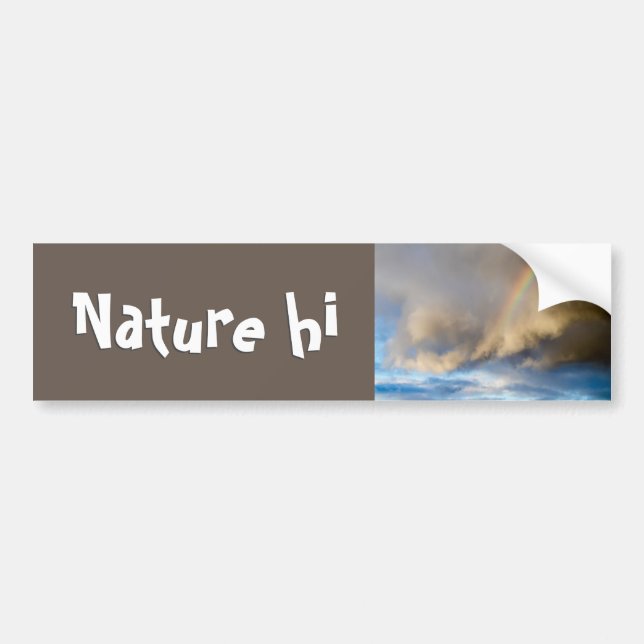 rainbow rebellion bumper sticker (Front)