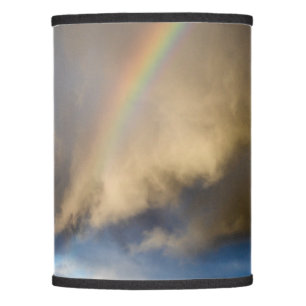 rainbow rebellion lamp shade