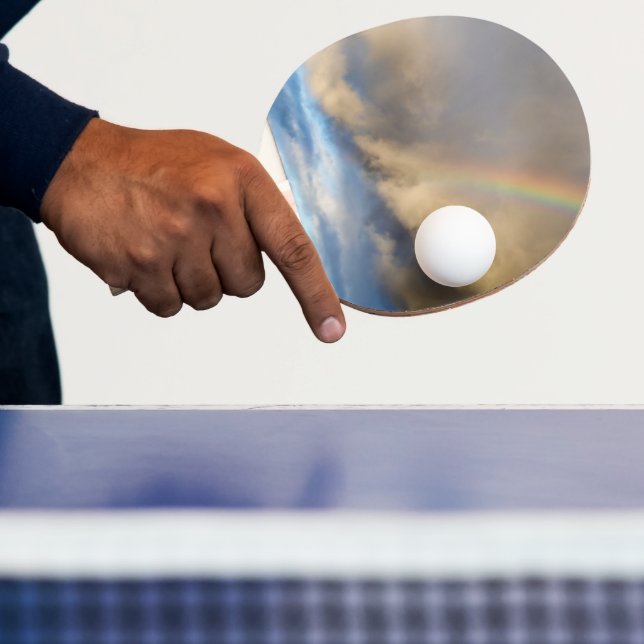 rainbow rebellion ping pong paddle (Insitu)