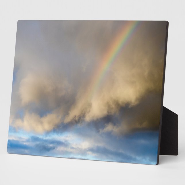 rainbow rebellion plaque (Side)