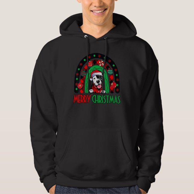 Rainbow Red Plaid Merry Christmas Funny Pitbull Do Hoodie (Front)