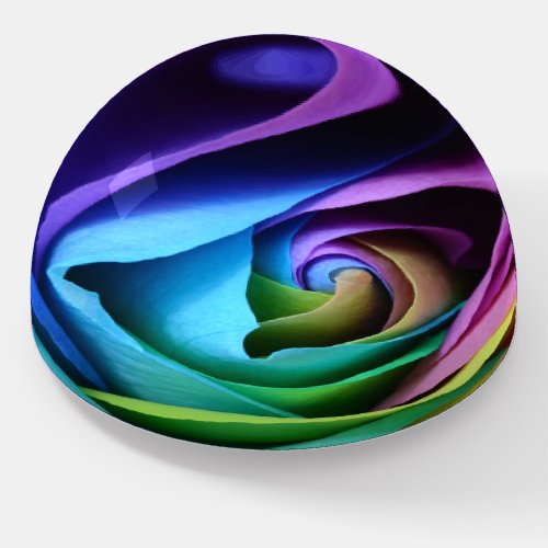 Rainbow Rose Colorful Flower Love Pink Blue Green Paperweight