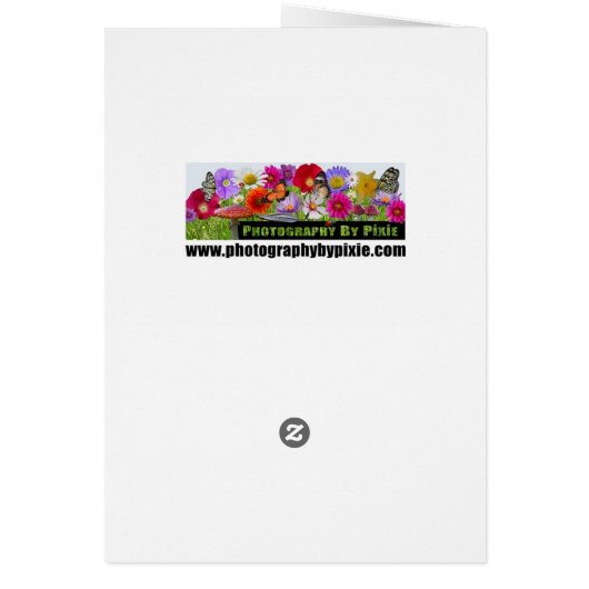 Rainbow Rose Fractal (Back)