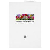 Rainbow Rose Fractal Cards (Back)