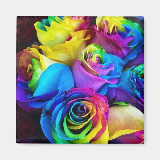 Rainbow Rose Magnet (Front)
