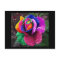 Rainbow Rose