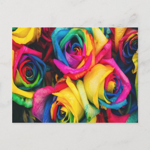 Rainbow Roses Bouquet Postcard