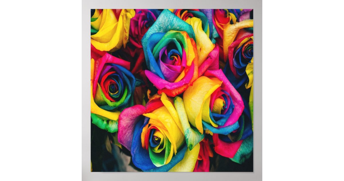 Rainbow Roses Bouquet Poster | Zazzle