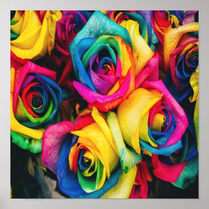 Rainbow Roses Bouquet Poster | Zazzle.com