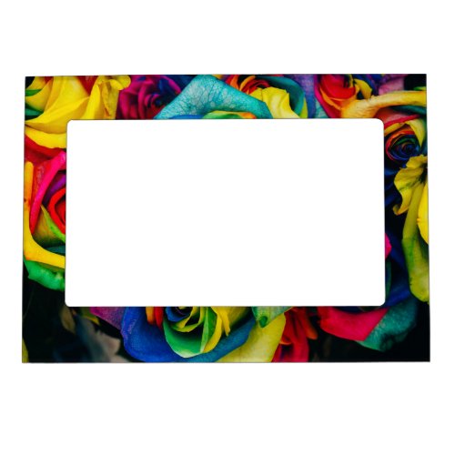 Rainbow Roses In Glorious Colour Magnetic Frame