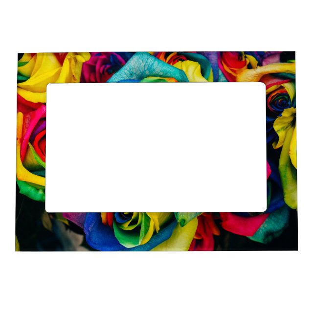 Rainbow Roses In Glorious Colour Magnetic Frame (Front)