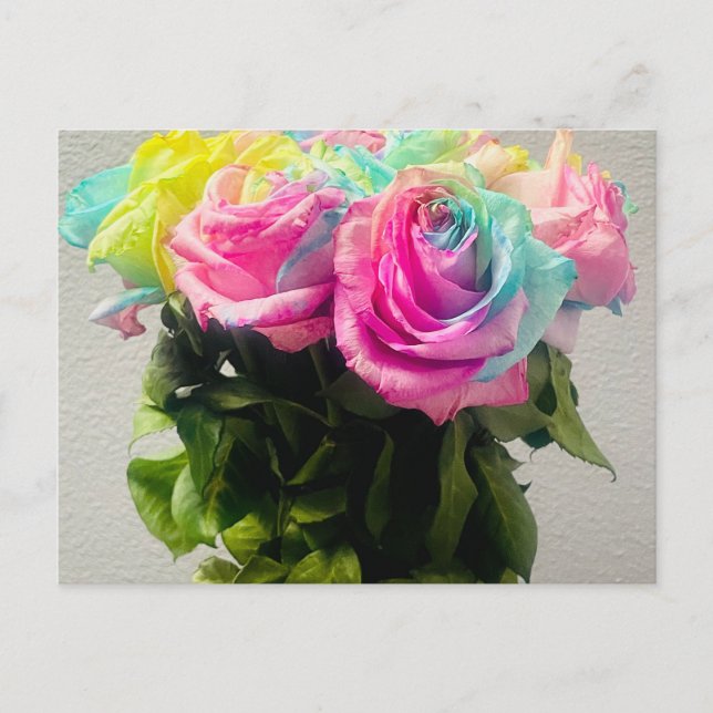 Rainbow Roses Postcard (Front)