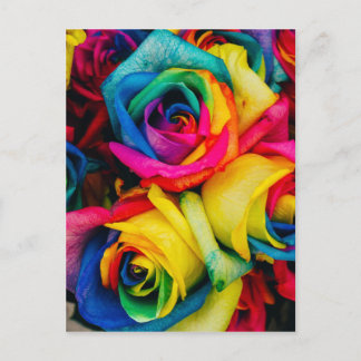 Rainbow Roses Postcard