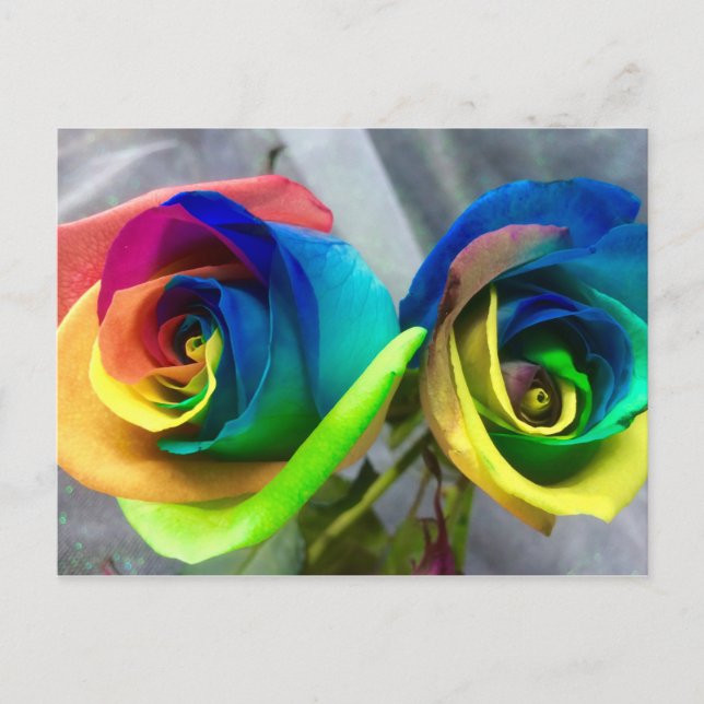 Rainbow roses postcard (Front)