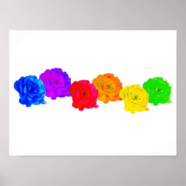 Rainbow Roses  Poster (Front)