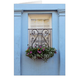 Rainbow Row Window Flower Box, Charleston, S.C. Cards