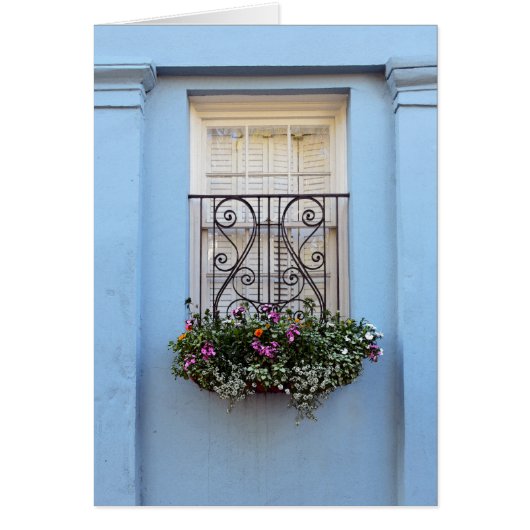 Rainbow Row Window Flower Box, Charleston, S.C. Cards (Front)