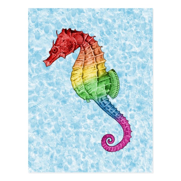 Rainbow Seahorse Post Card