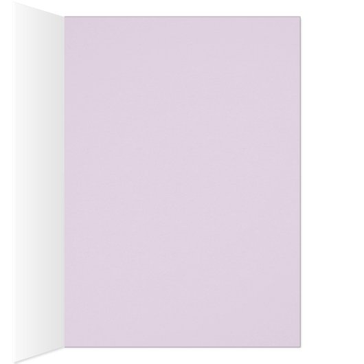 Rainbow Serpent Festival '08 #001 Card (Inside (Right))