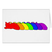 Rainbow Somali (Front Horizontal)
