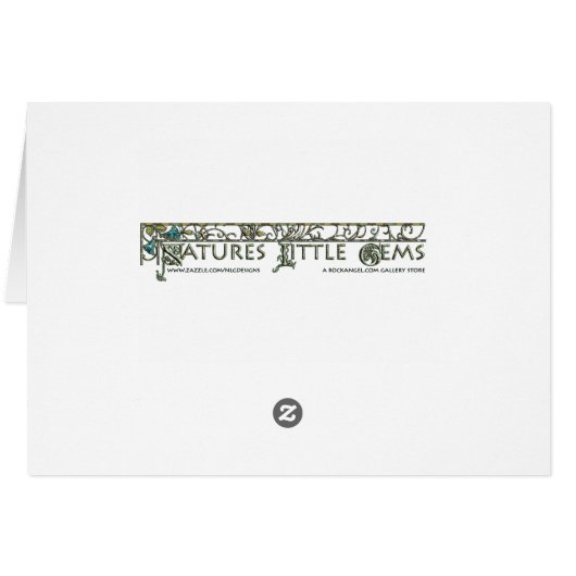 Rainbow Stag Beetle (Back Horizontal)