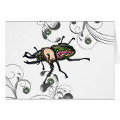 Rainbow Stag Beetle (Front Horizontal)