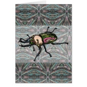 Rainbow Stag Beetle (Front)