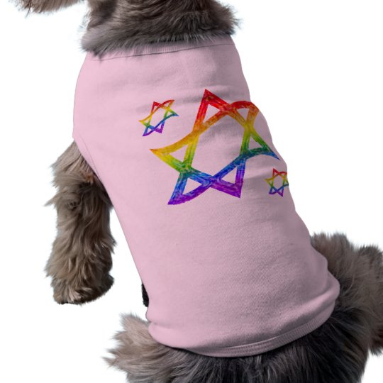 Rainbow Star of David Dog Shirts