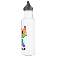 Rainbow Stitch Stainless Steel Water Bottle