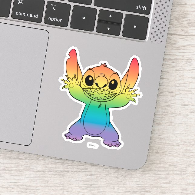 Rainbow Stitch Sticker (Detail)