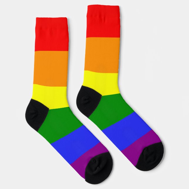 Rainbow Stripe LGBT 6 Colors Pride Socks (Right)