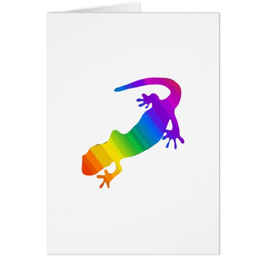 Rainbow Striped Salamander Cards (Front)