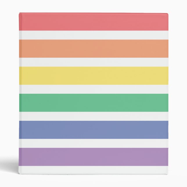 Rainbow Stripes 3 Ring Binder (Front)