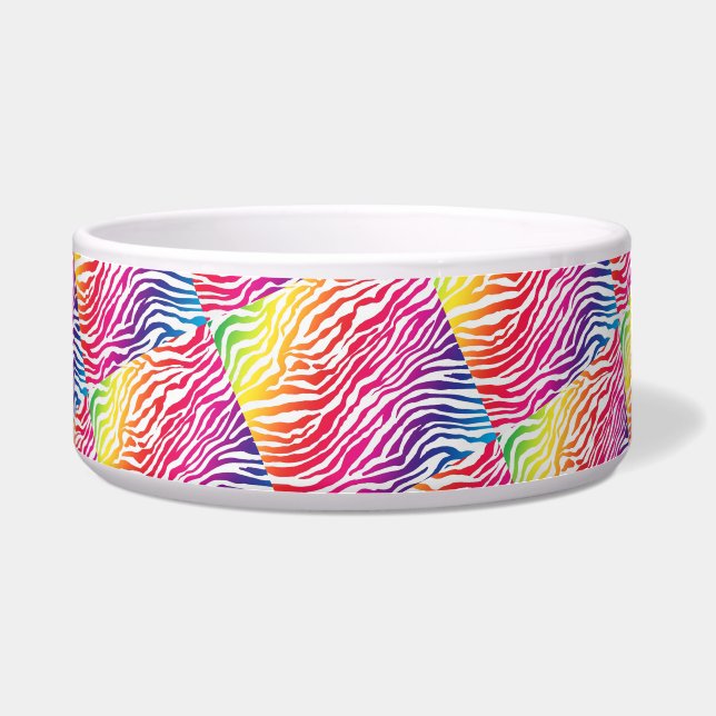 Rainbow Stripes Bowl (Front)